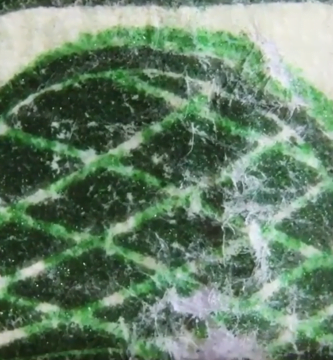 Billetes de un Dólar